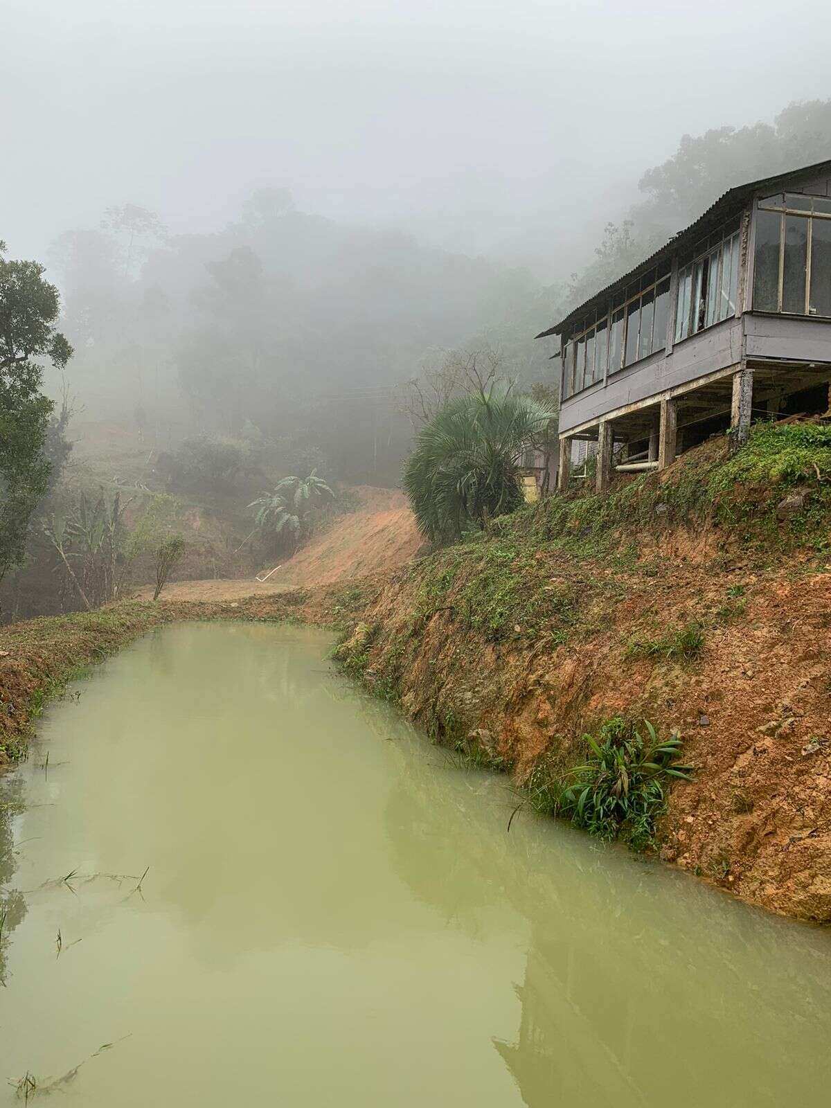  - Chácara à venda em São Bento do Sul, Rodovia, 25. 405 M2m²